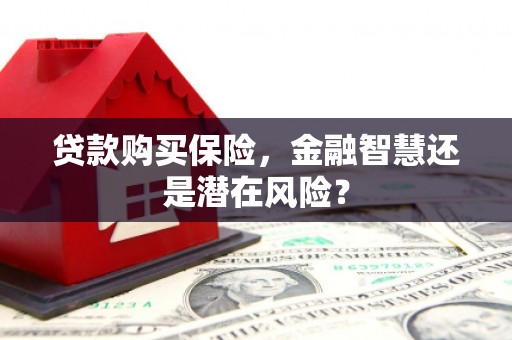 崁顶贷款购买保险，金融智慧还是潜在风险？
