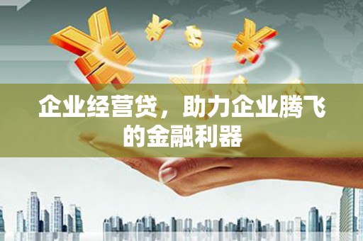 横栏企业经营贷，助力企业腾飞的金融利器