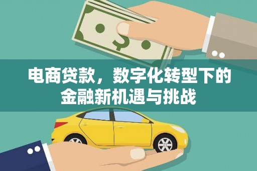 嘉禾电商贷款，数字化转型下的金融新机遇与挑战