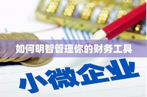 阳山如何明智管理你的财务工具