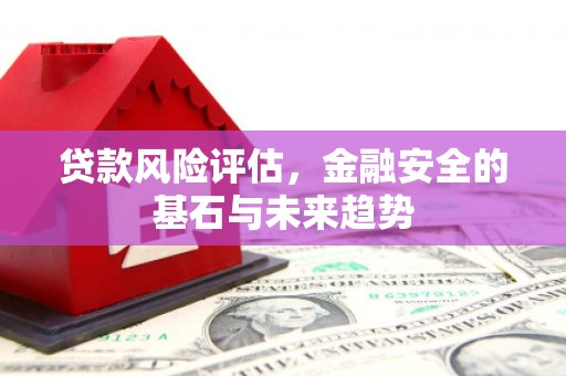 蓬江贷款风险评估，金融安全的基石与未来趋势