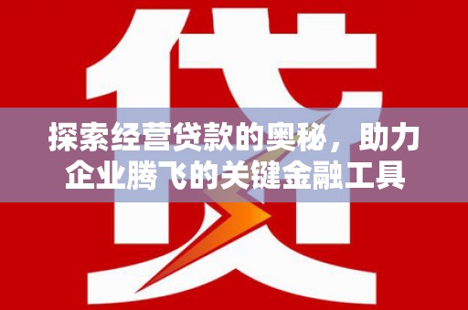 环江探索经营贷款的奥秘，助力企业腾飞的关键金融工具