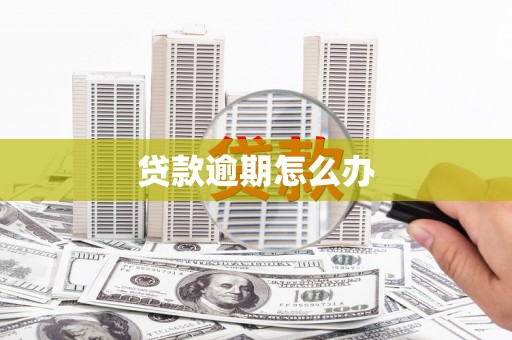 雨山贷款逾期怎么办