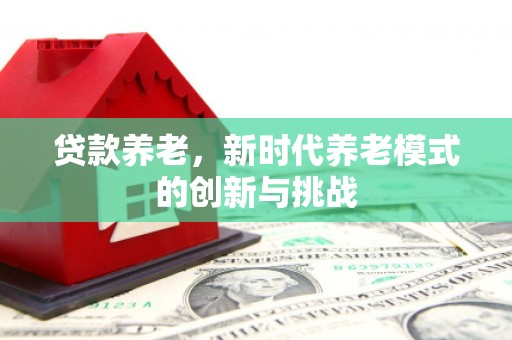 洋县贷款养老，新时代养老模式的创新与挑战