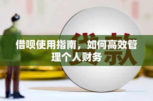 通霄借呗使用指南，如何高效管理个人财务