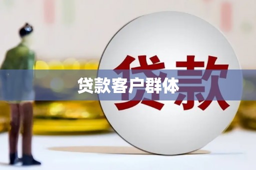 阜康贷款客户群体