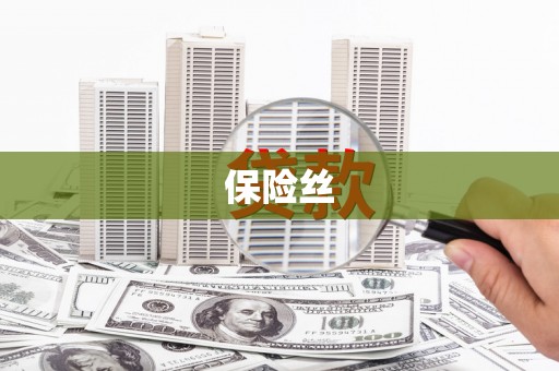 泾县保险丝