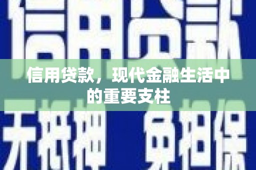 大丰信用贷款，现代金融生活中的重要支柱