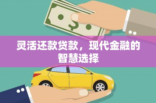 桑日灵活还款贷款，现代金融的智慧选择