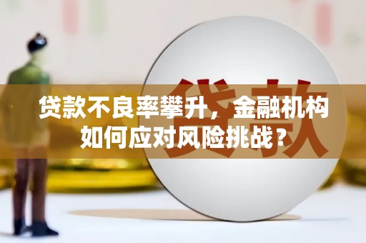 临翔贷款不良率攀升，金融机构如何应对风险挑战？