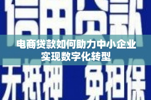 崇左电商贷款如何助力中小企业实现数字化转型