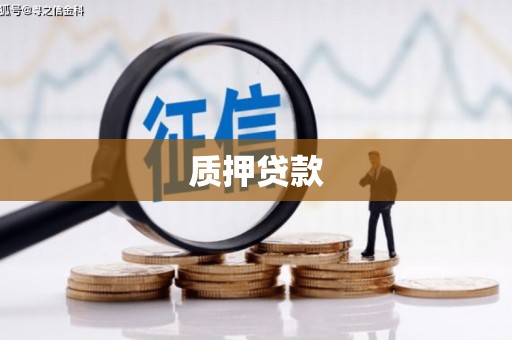 金湾质押贷款