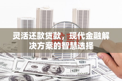 镜湖灵活还款贷款，现代金融解决方案的智慧选择