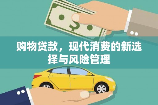 丽水购物贷款，现代消费的新选择与风险管理
