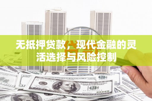 永善无抵押贷款，现代金融的灵活选择与风险控制