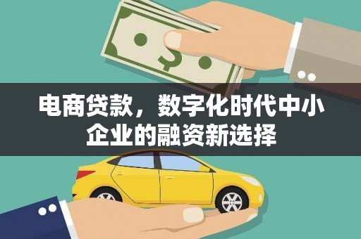 丹徒电商贷款，数字化时代中小企业的融资新选择
