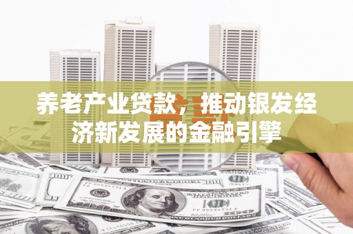 右玉养老产业贷款，推动银发经济新发展的金融引擎