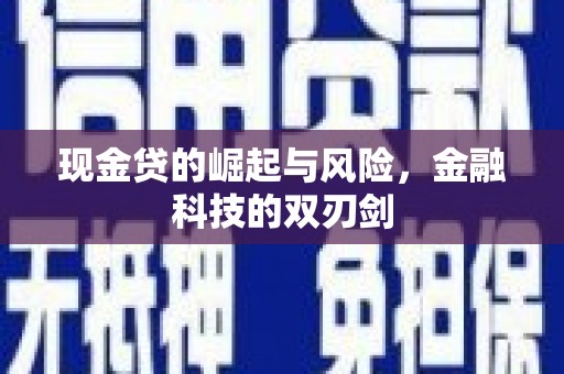 芦淞现金贷的崛起与风险，金融科技的双刃剑