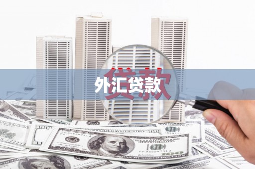 壶关外汇贷款