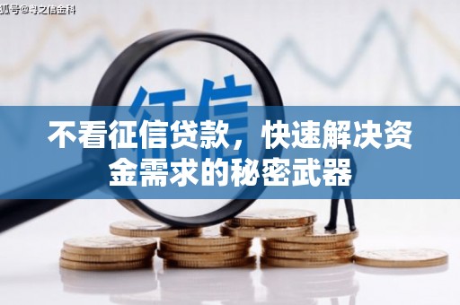 龙游不看征信贷款，快速解决资金需求的秘密武器