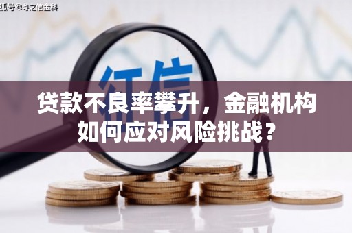 无极贷款不良率攀升，金融机构如何应对风险挑战？