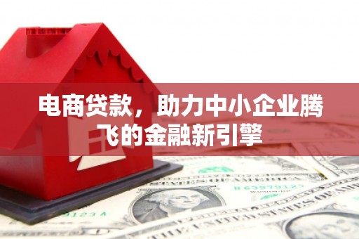 伊吾电商贷款，助力中小企业腾飞的金融新引擎