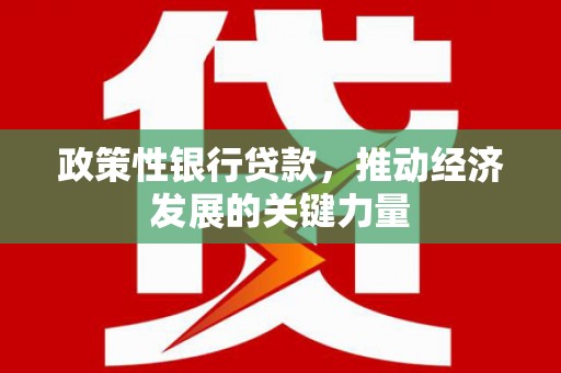 濮阳政策性银行贷款，推动经济发展的关键力量