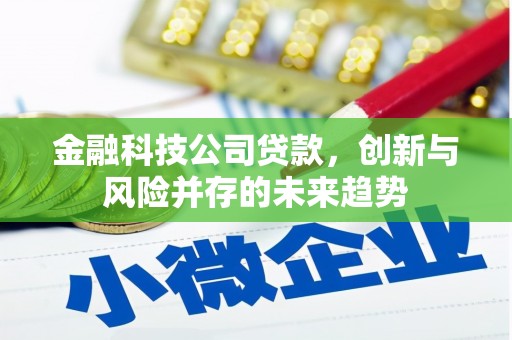丰原金融科技公司贷款，创新与风险并存的未来趋势