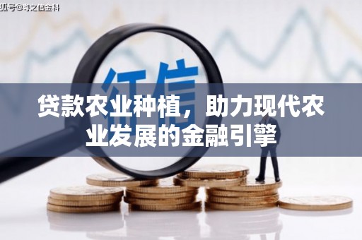 宝鸡贷款农业种植，助力现代农业发展的金融引擎