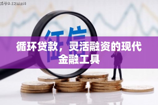 武胜循环贷款，灵活融资的现代金融工具