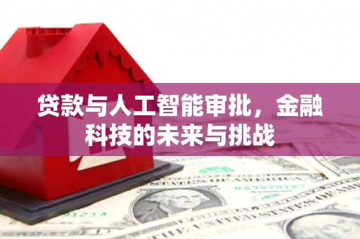 阳春贷款与人工智能审批，金融科技的未来与挑战