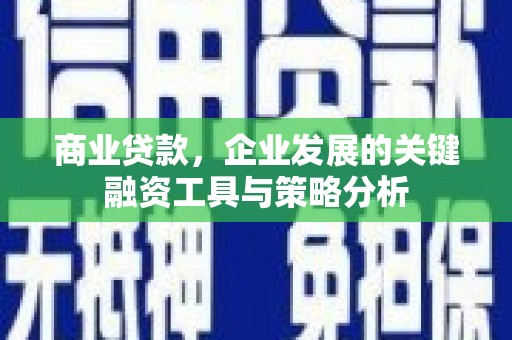 玉山商业贷款，企业发展的关键融资工具与策略分析
