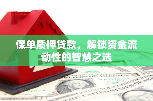 嵊泗保单质押贷款，解锁资金流动性的智慧之选