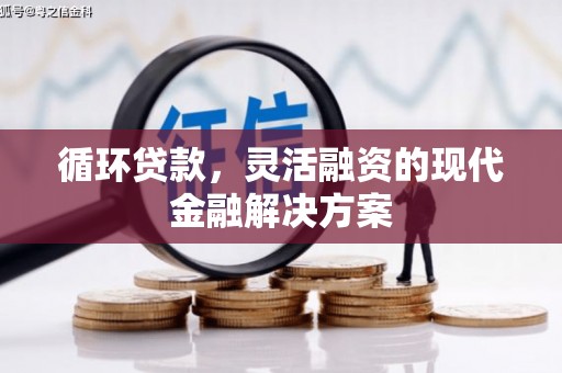 夷陵循环贷款，灵活融资的现代金融解决方案