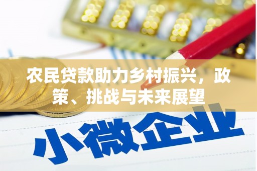 氹仔岛农民贷款助力乡村振兴，政策、挑战与未来展望
