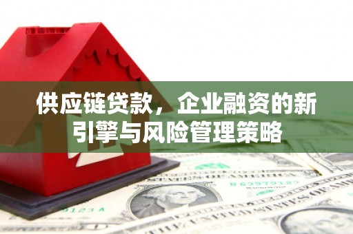 树林供应链贷款，企业融资的新引擎与风险管理策略