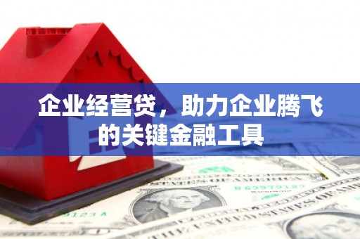振兴企业经营贷，助力企业腾飞的关键金融工具