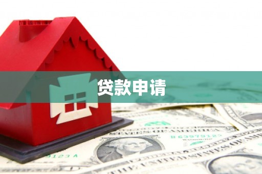 金寨贷款申请