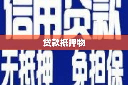 湟中贷款抵押物