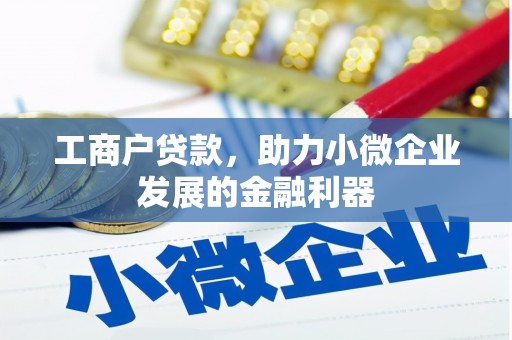 西塞山工商户贷款，助力小微企业发展的金融利器