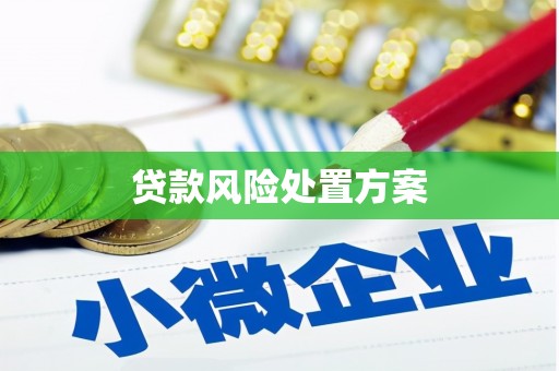 黟县贷款风险处置方案