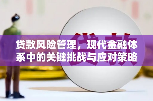 中坜贷款风险管理，现代金融体系中的关键挑战与应对策略