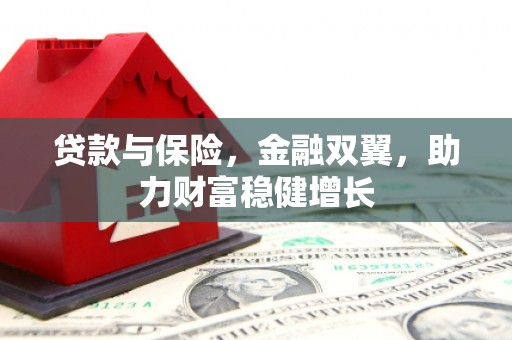 荔城贷款与保险，金融双翼，助力财富稳健增长
