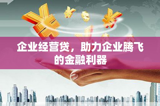 漳县企业经营贷，助力企业腾飞的金融利器