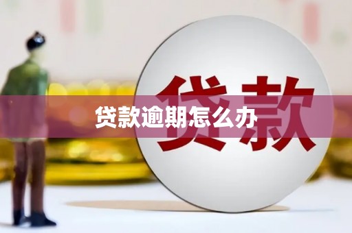 中埔贷款逾期怎么办