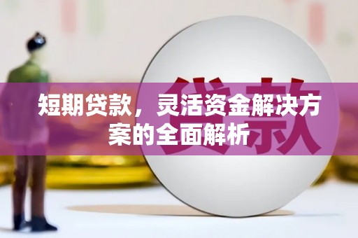 馆陶短期贷款，灵活资金解决方案的全面解析