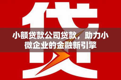 昭阳小额贷款公司贷款，助力小微企业的金融新引擎