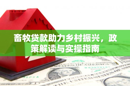 水上畜牧贷款助力乡村振兴，政策解读与实操指南
