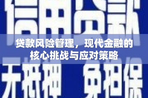呼伦贝尔贷款风险管理，现代金融的核心挑战与应对策略