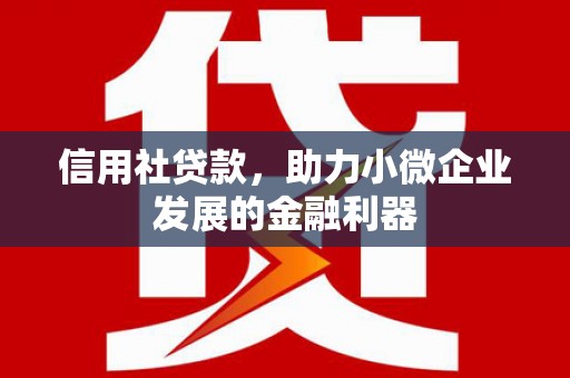 盘龙信用社贷款，助力小微企业发展的金融利器